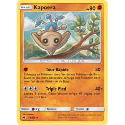 Kapoera 113/214