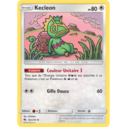 Kecleon 162/214