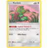 Kecleon 162/214