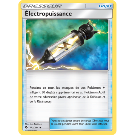 Électropuissance 172/214