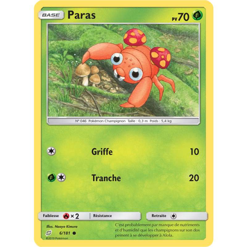 Paras 6/181