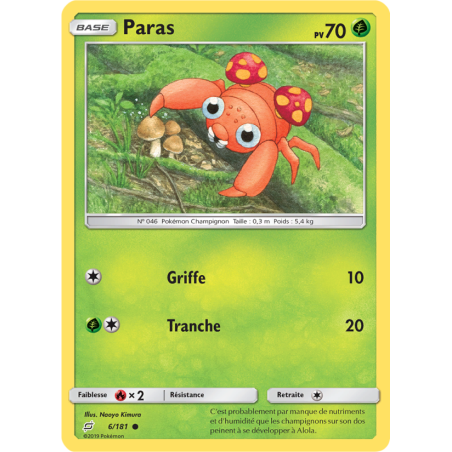 Paras 6/181