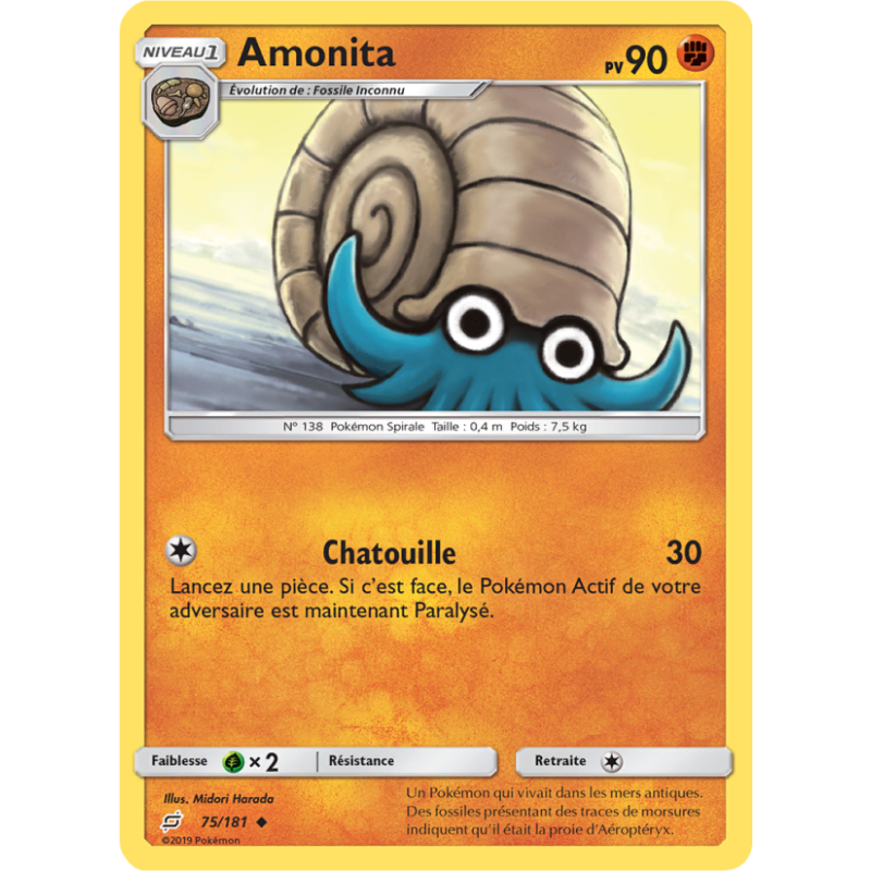 Amonita 75/181