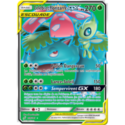 Celebi et Florizarre GX...