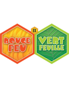 EX Rouge Feu & Vert Feuille