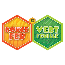 EX Rouge Feu & Vert Feuille